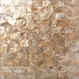 TST Freshwater Shell Pad Tiles Golden Natural Mother Of Pearl Tiles Luxury Subway Kitchen Backsplash