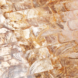TST Freshwater Shell Pad Tiles Golden Natural Mother Of Pearl Tiles Luxury Subway Kitchen Backsplash